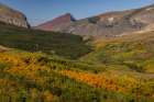 Autumn Aspen groves below Red Mountain in Glacier National Park, Montana, USA Art Print